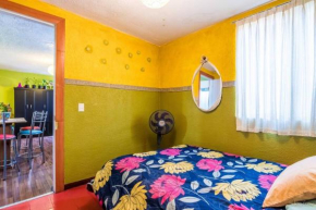Nice full apartment, downtown on foot